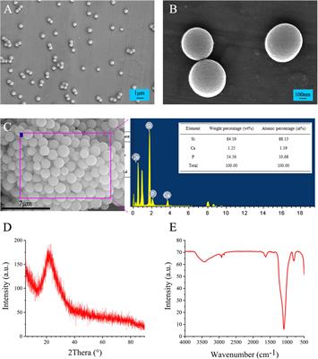 Mesoporous Bioactive Glass Nanoparticles Promote Odontogenesis and Neutralize Pathophysiological Acidic pH